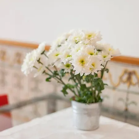 Your In Lisbon, Baixa דירה ליסבון